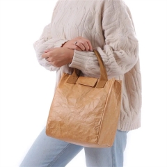 DuPont Paper Insulated Bag