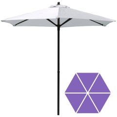 Market Umbrella