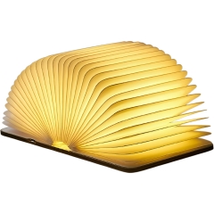 Foldable book lamp