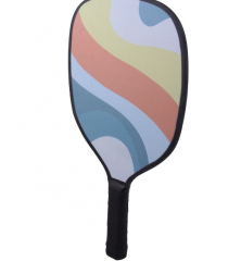 Pickleball Paddle Set