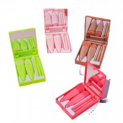 5 Pcs Makeup Brush Set With Mirror