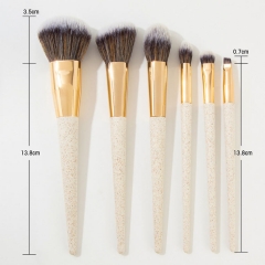 6 Pcs Biodegradable Wheat Straw Makeup Brush Set
