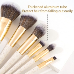 6 Pcs Biodegradable Wheat Straw Makeup Brush Set