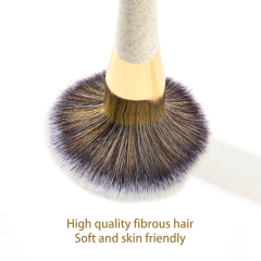 6 Pcs Biodegradable Wheat Straw Makeup Brush Set