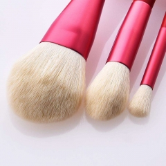 12 Pcs Makeup Brush Set