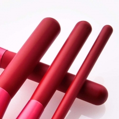 12 Pcs Makeup Brush Set