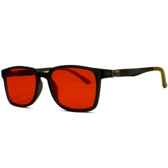Classic Square Plastic Sunglasses