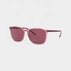 Classic Square Plastic Sunglasses