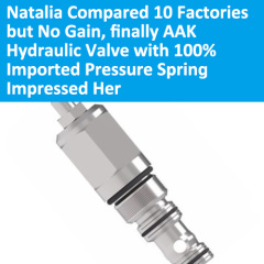 AAK89 The Quality of Pressure Spring of Hydraulic Valves
