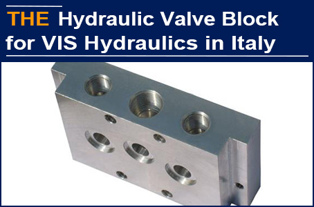 After fine-tuning the channel layout of the hydraulic valve block, the pressure met, and Italian customer purchased matched hydraulic cartridge valve