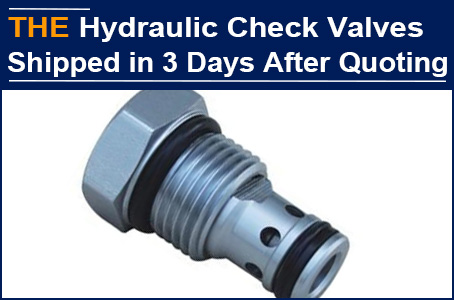 Chris advanced the full payment on the day she received the quotation, and AAK shipped the urgent order of hydraulic check valves in 3 days
