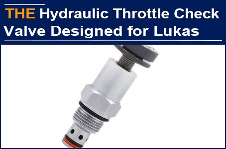 Parallel hydraulic check valve and hydraulic throttle valve, AAK innovative design succeeded in the first test run by Duden
