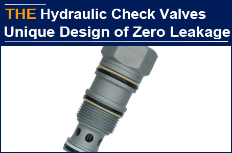 Leakage in hydraulic check valves troubled Cuenca for 2 years, and AAK solved it in 2 months