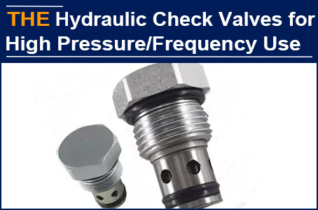Although 20% expensive, its service life is twice that of its peers. After hesitating for 2 years, customer still purchased AAK hydraulic check valves