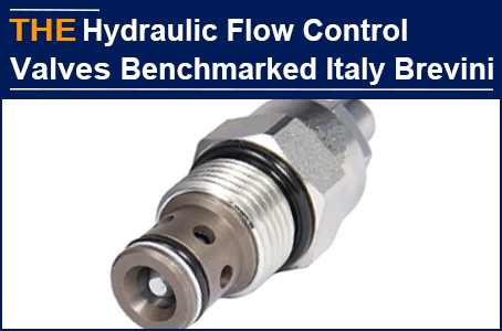 The hydraulic flow control valve is benchmarked with Brevini, and the Italian customer can't refuse the 3 great benefits of AAK