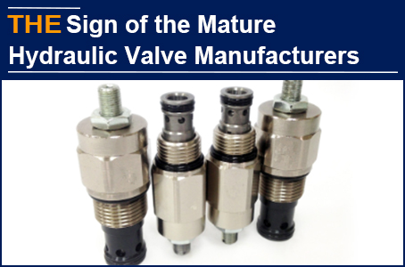What is the sign of a mature hydraulic valve manufacturer? AAK defined it like this