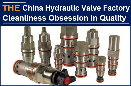 After comparing 6 hydraulic valve factories in China, James found that AAK has a cleanliness obsession with quality
