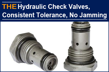 There is no jamming and the tolerance of form and position is consistent. Only AAK hydraulic check valve impressed the American customer