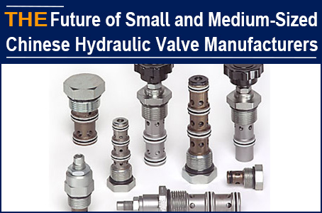 Big enterprises are going through the winter, but AAK thinks that the spring of small and medium-sized Chinese hydraulic valve manufacturers is coming