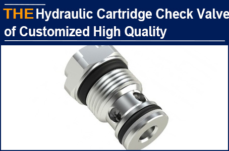 Buy hydraulic cartridge check valve samples 3 times a year, and hit AAK with a big order for the fourth time