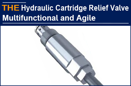 Multi functional Hydraulic Cartridge Relief Valve, AAK replaced the Brazilian manufacturer