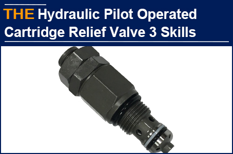 AAK optimized Hydraulic Pilot-Operated Cartridge Relief Valve with 3 Skills, and Chandle placed a large order during CNY