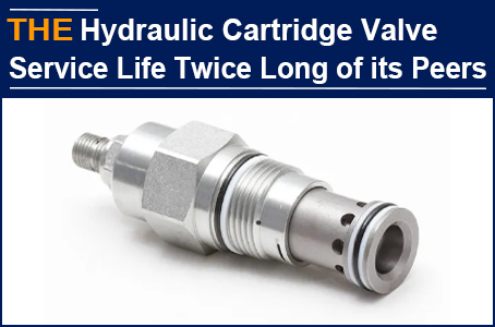 AAK Hydraulic Cartridge Valve is 20% more expensive, but its service life is twice as long as that of its peers. Barnaby sends 12 inquiries a day