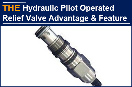 AAK Hydraulic Pilot operated Relief Valve with 1 Advantage and 1 Feature, helped Caleb win the first order