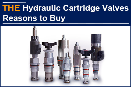 Taking my son to breakfast reminds me why customers want to buy AAK Hydraulic Cartridge Valves instead of the peers'