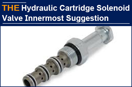 AAK Cartridge Solenoid Valve, only talking to customers from the bottom of heart