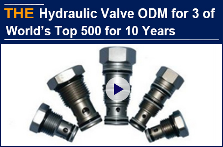 AAK has been doing ODM hydraulic valves for the global top 500 for 10 years, and has shown stronger technical advantages facing difficulties