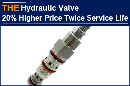 The young sales girl selling paint taught me a lesson, that AAK hydraulic valves can be quoted in days