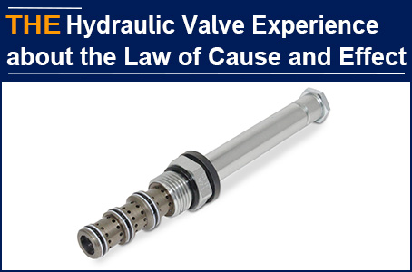 AAK Hydraulic Valve 1 heart 2 things, unfamiliar Gomes introduced his buddy to us
