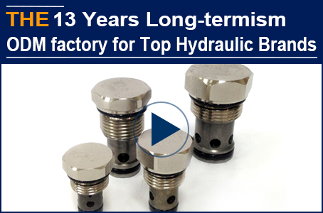 13 years of Long-termism, AAK has become the ODM factory of top 10 hydraulic valve brands in the world