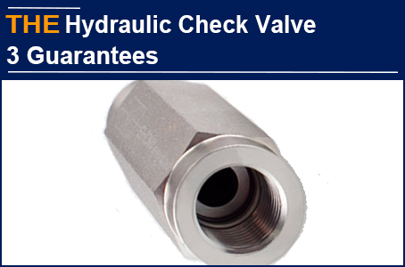 AAK Hydraulic Check Valve with 3 major guarantees, waiting for Diego's big order calmly