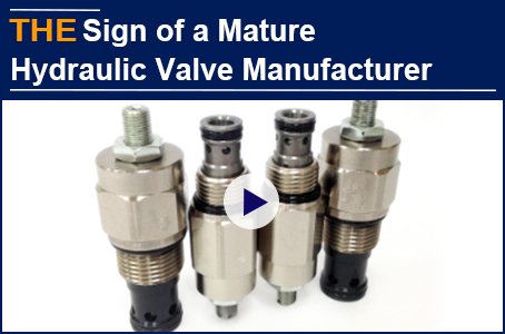 The sign of a mature hydraulic valve manufacturer