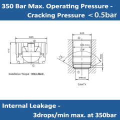 E-ICV2000-G34 Embedded Tubular Check Valves