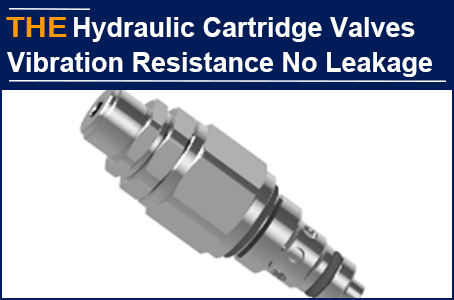 The sealing details of the Hydraulic Cartridge Valve Cap and Valve seat， Hassan returned to AAK 6 months later