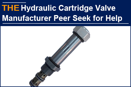 Peer Hydraulic cartridge valve manufacturer comes to seek help, and AAK looks at people first and then things