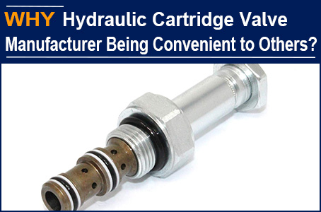 Grandma Zhang, who is 80s, taught a lesson to Hydraulic Cartridge Valve manufacturer AAK, being convenient to others is being convenient to oneself