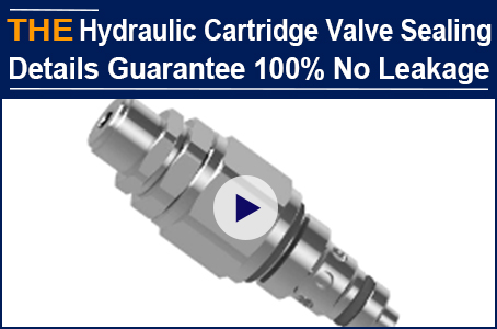 AAK Sealing Details of Hydraulic Cartridge Valves to Guarantee 100% No leakage