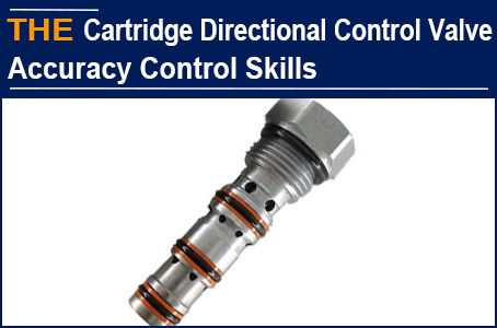 The Hydraulic Cartridge Directional Control Valve with 2μm hole, AAK solved Renato's trouble