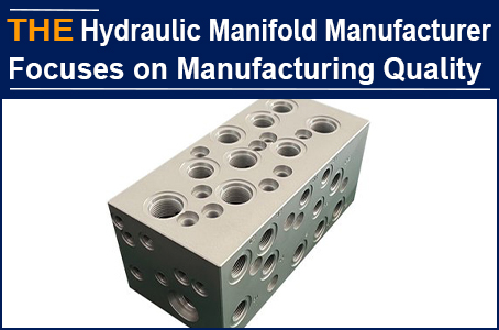 Chinese hydraulic manifold manufacturers cannot compare to little Bird, due to endless desires but limited capabilities