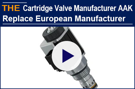 Hydraulic cartridge valve manufacturer AAK replaced European manufacturer for stable function