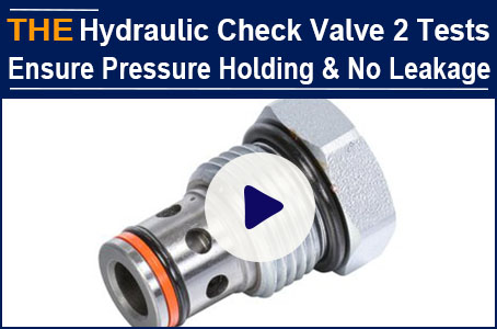 AAK Hydraulic Check Valve 2 steps leakage testing instead of the 1 test of its peers