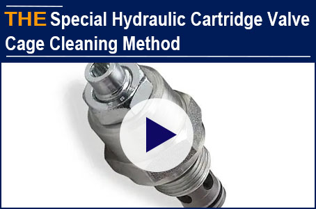 AAK cleaning method for special hydraulic cartridge valve cage