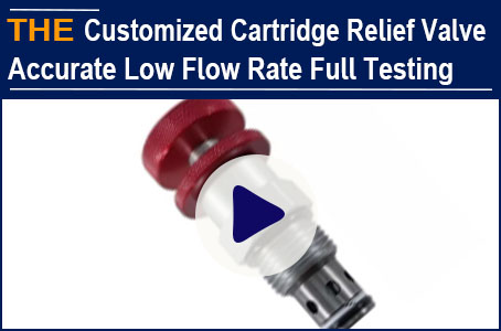 AAK accurate 100% full inspection to ensure customized hydraulic cartridge relief valve function &amp; service life