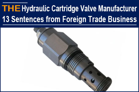 13 Sentences of a hydraulic cartridge valve manufacturer, from 13 years of experience in foreign trade business