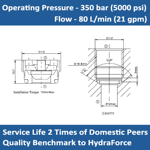 E-ICV2000-G12 Embedded Tubular Check Valves