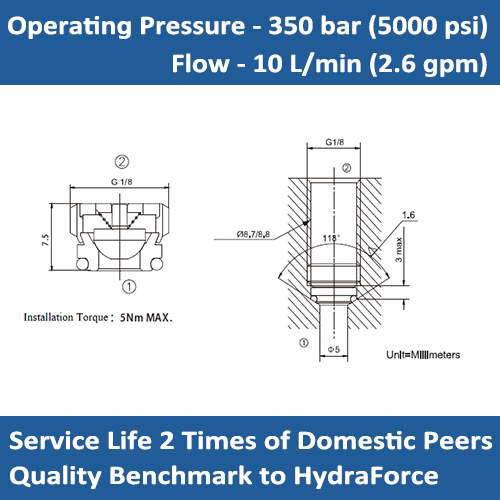 E-ICV2000-G18 Embedded Tubular Check Valves